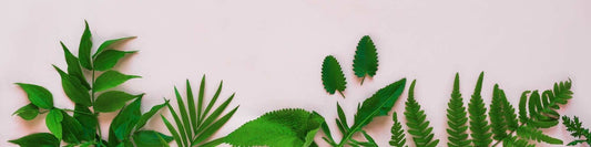 Veganer Sonnenschutz