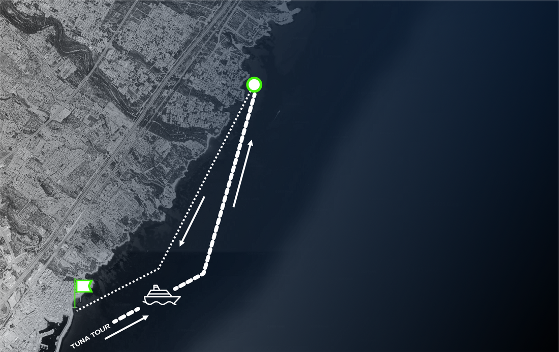 Solar Medusas y TunaRaceBalfegó: una alianza por la protección sin precedentes en carreras de aguas abiertas