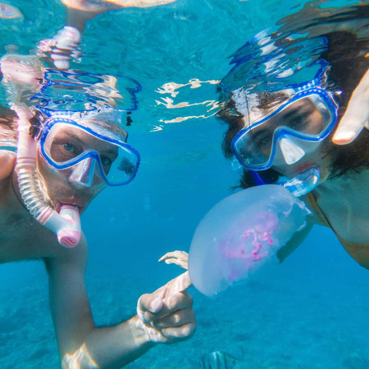 Eindämmung des Verlusts der biologischen Vielfalt im Meer